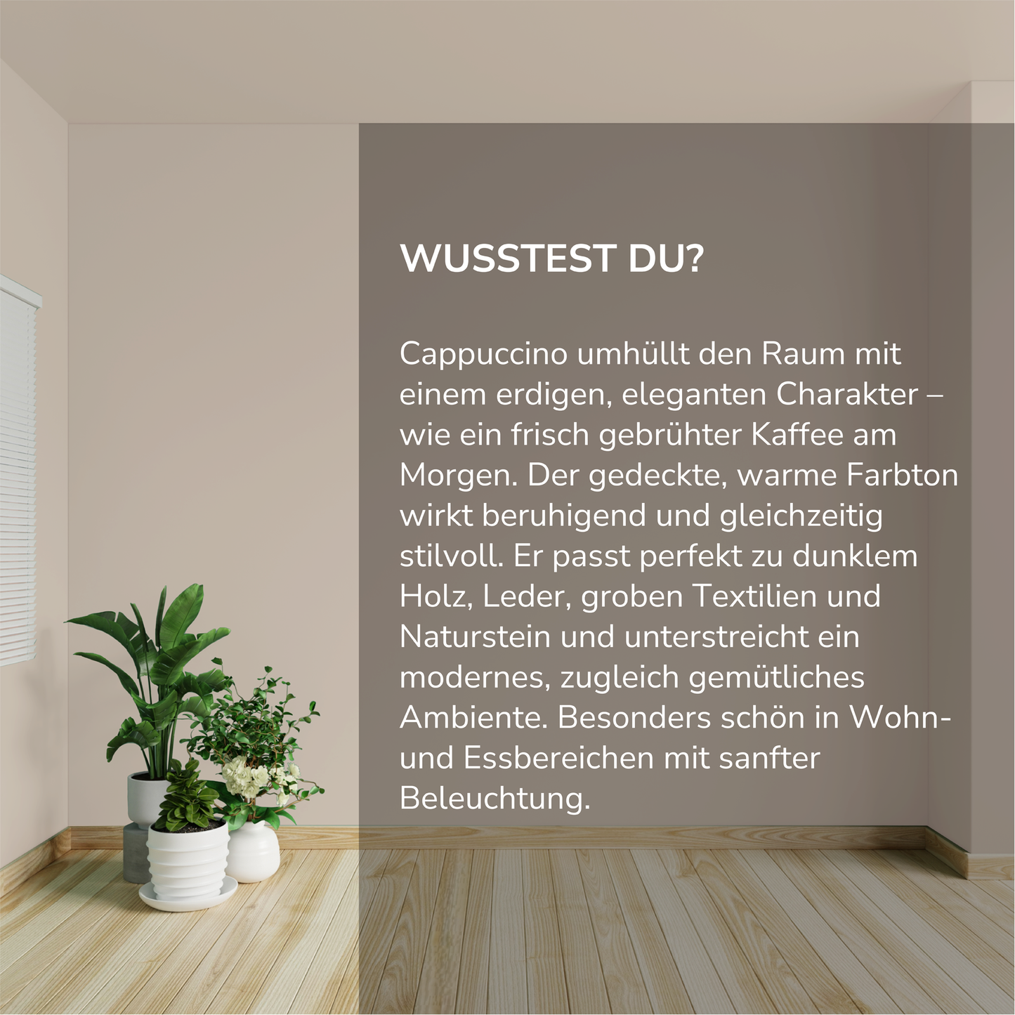 Wandfarbe Profiweiß Braun cappuccino
