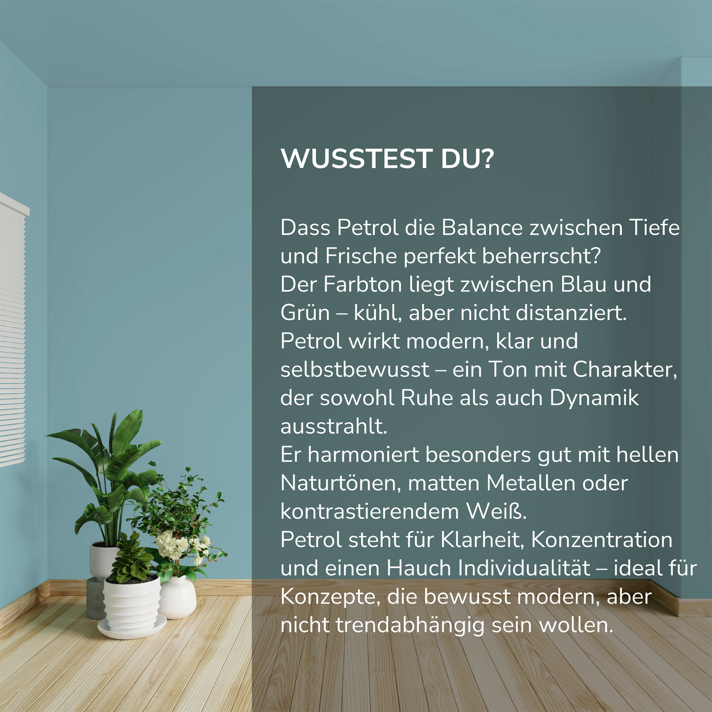 Wandfarbe Profiweiß Blau petrol