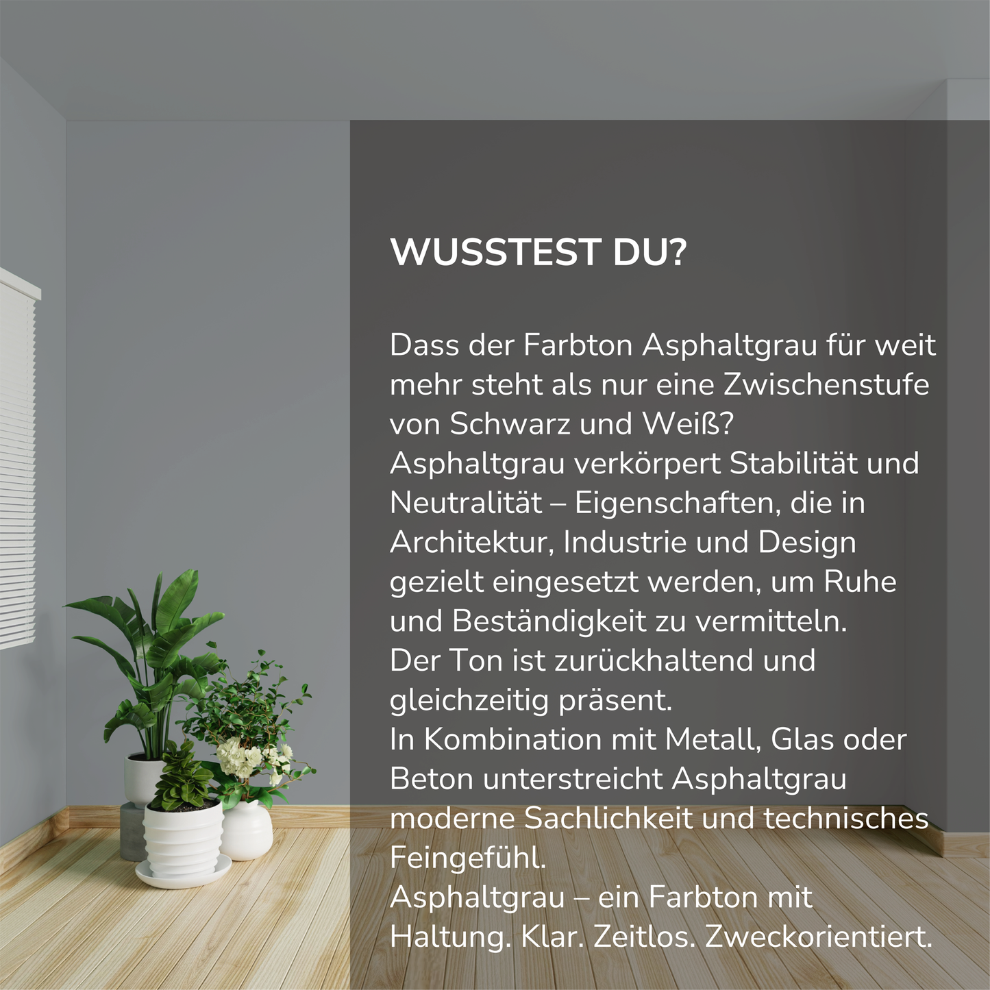 Wandfarbe Profiweiß Grau Asphalt-grey Asphaltgrau