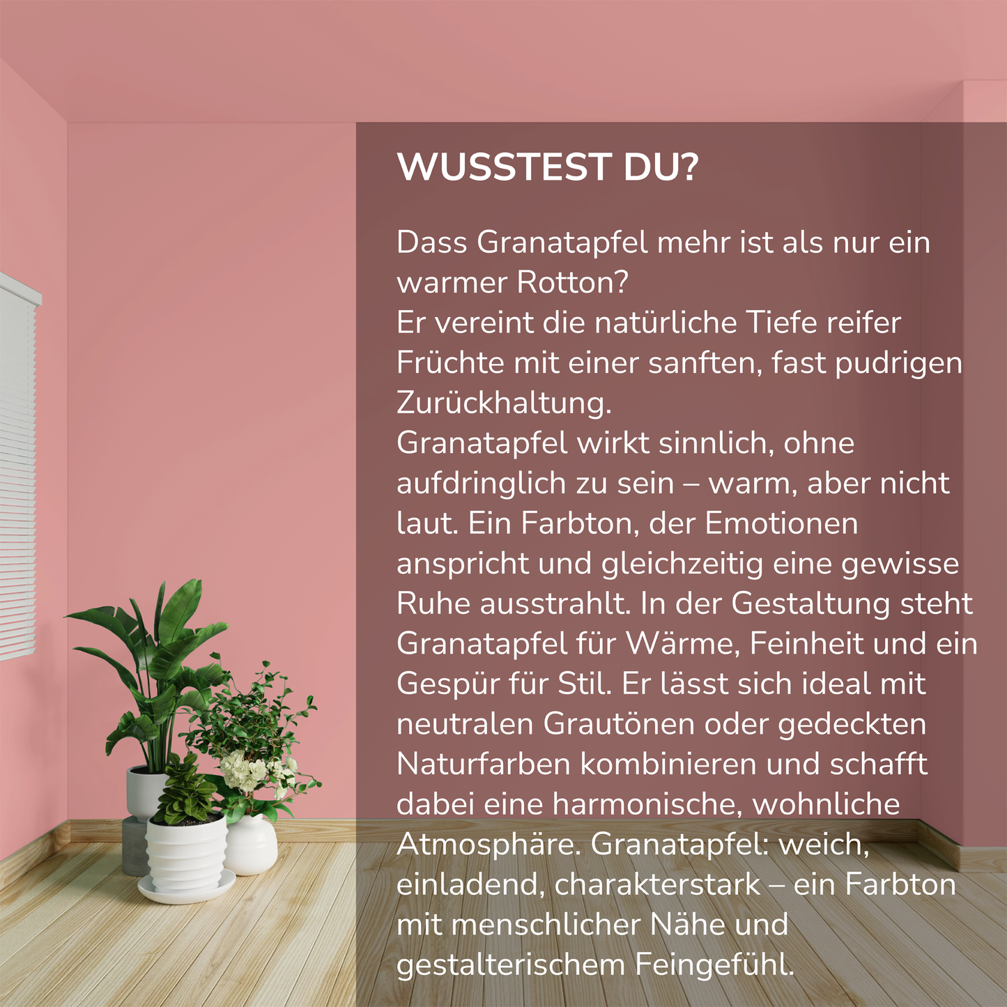 Wandfarbe Profiweiß Rot grenadine Granatapfel