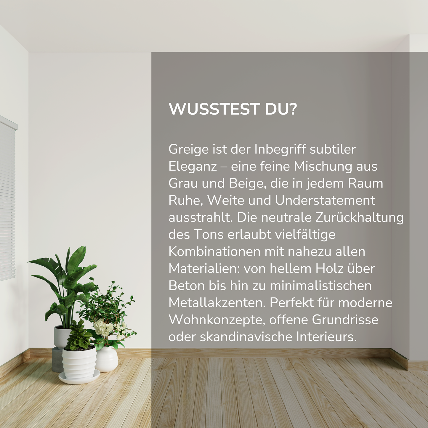 Wandfarbe Profiweiß Grau greige