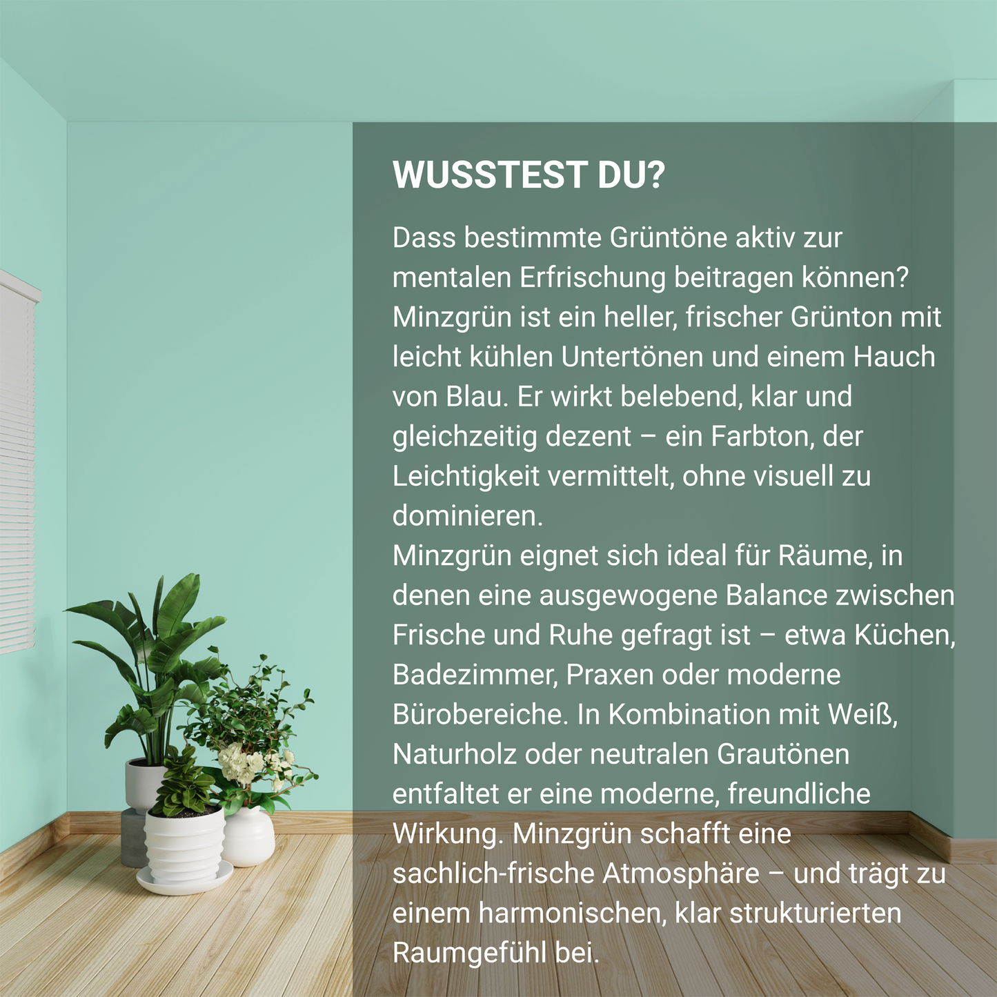 Wandfarbe Profiweiß Grün Mint-green Minzgrün