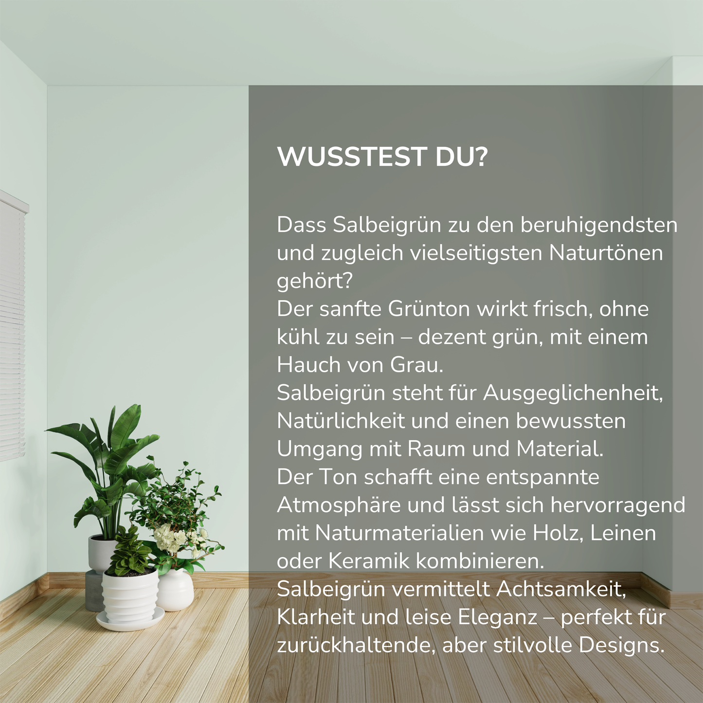 Wandfarbe Profiweiß Grün Sage-green Salbeigrün