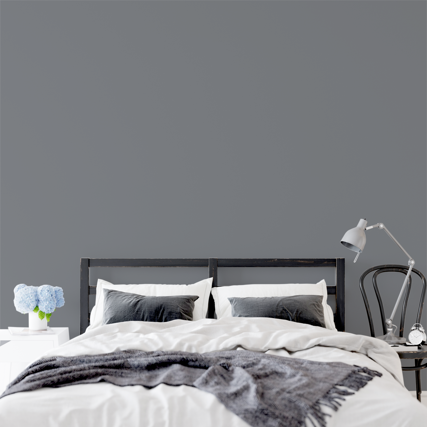 Wandfarbe Profiweiß Grau Asphalt-grey Asphaltgrau