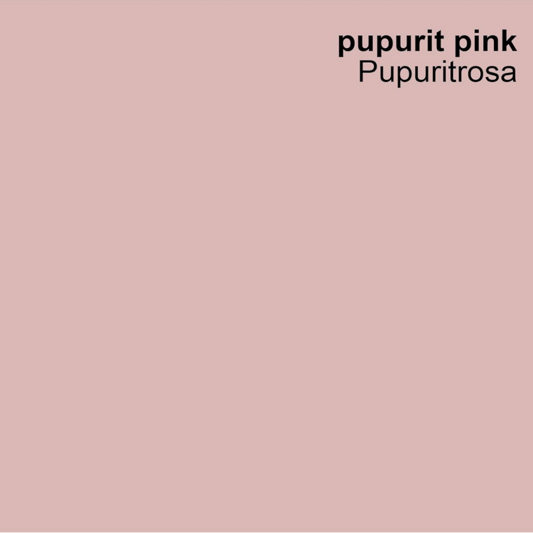 Profi Fassadenfarbe rosa, pupuritrosa, pupurite pink 10L