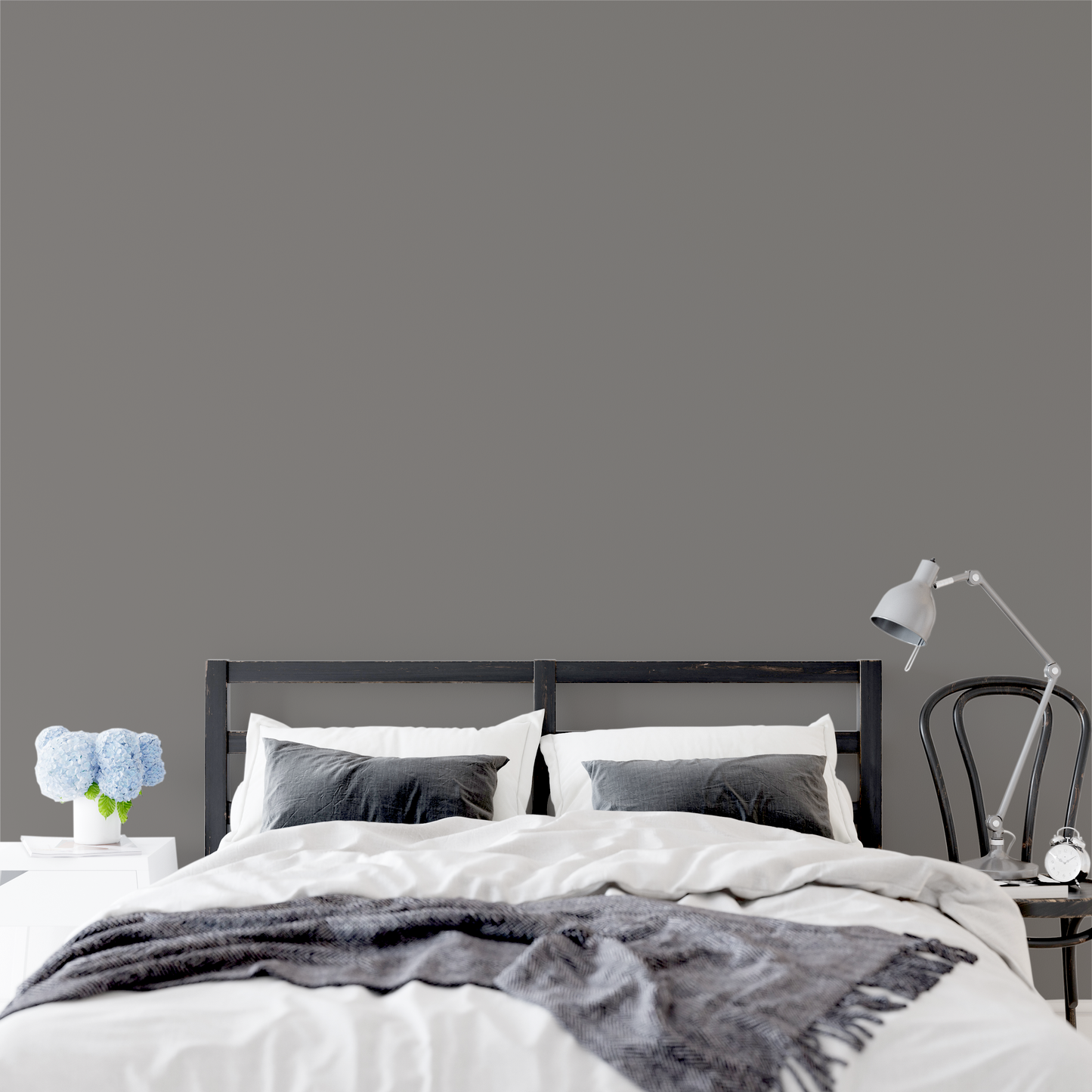 Wandfarbe Profiweiß Grau Dark-grey-brown Dunkelgraubraun
