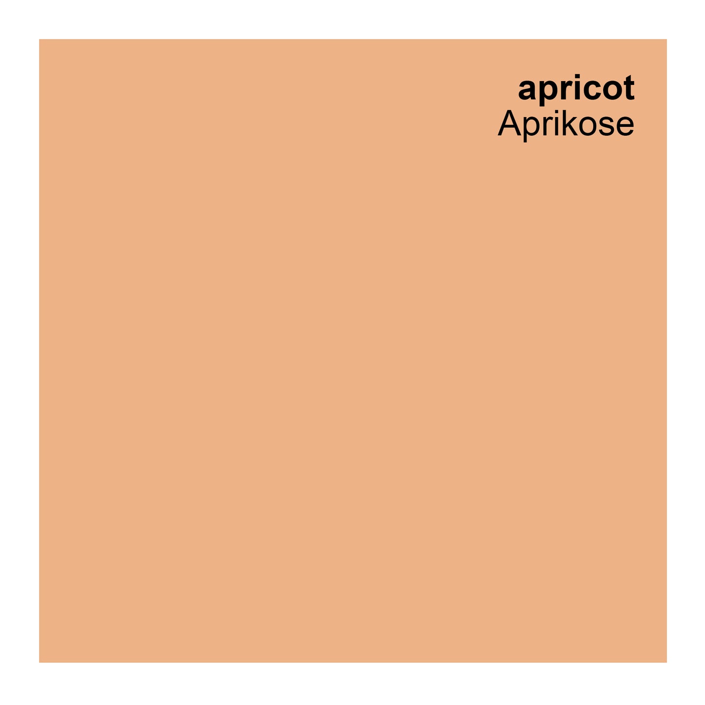Profi Fassadenfarbe orange, aprikose, apricot 10L