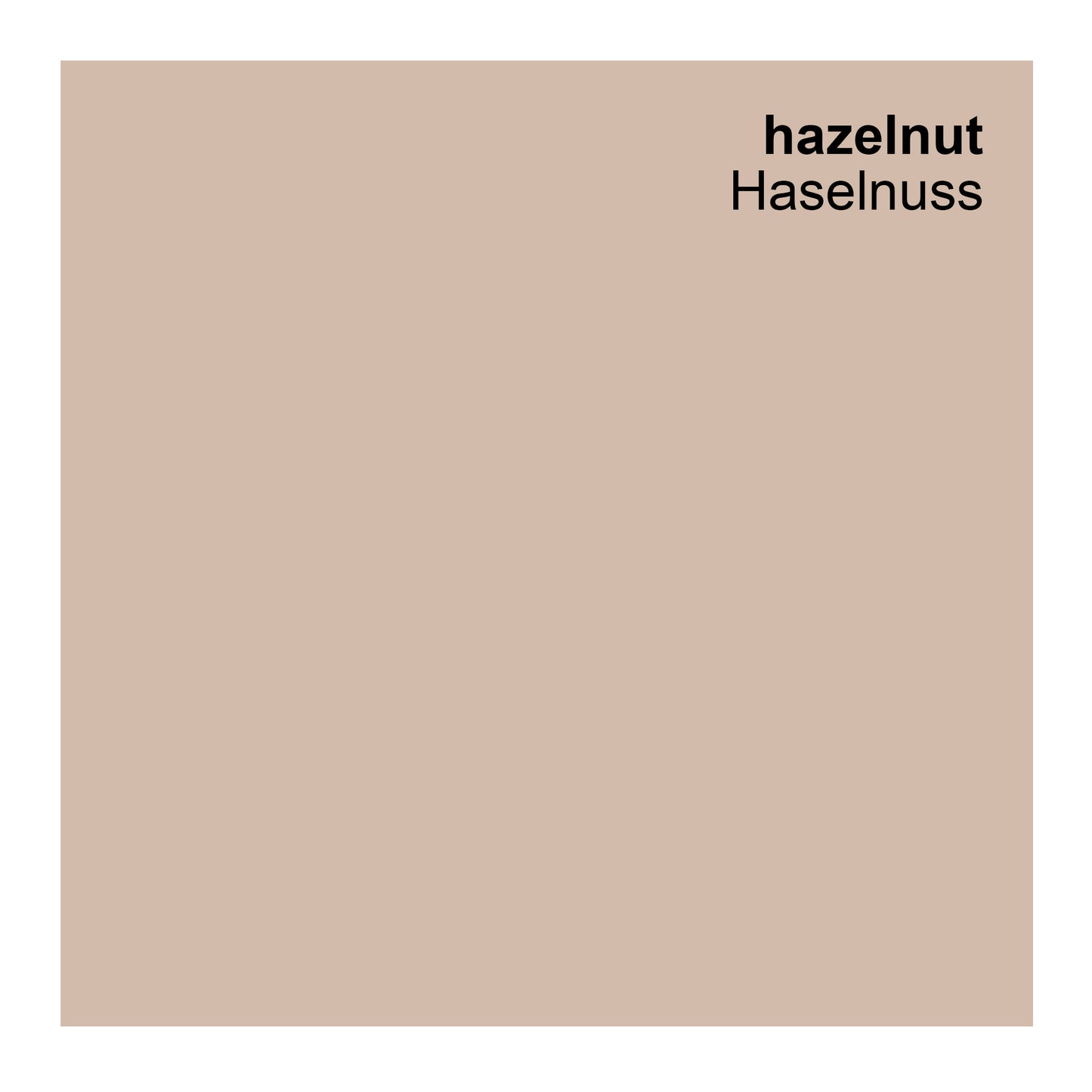Wandfarbe Profiweiß Braun hazelnut Haselnuss