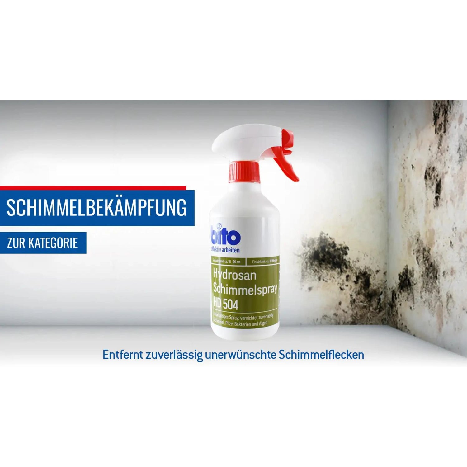 Schimmelbekämpfung