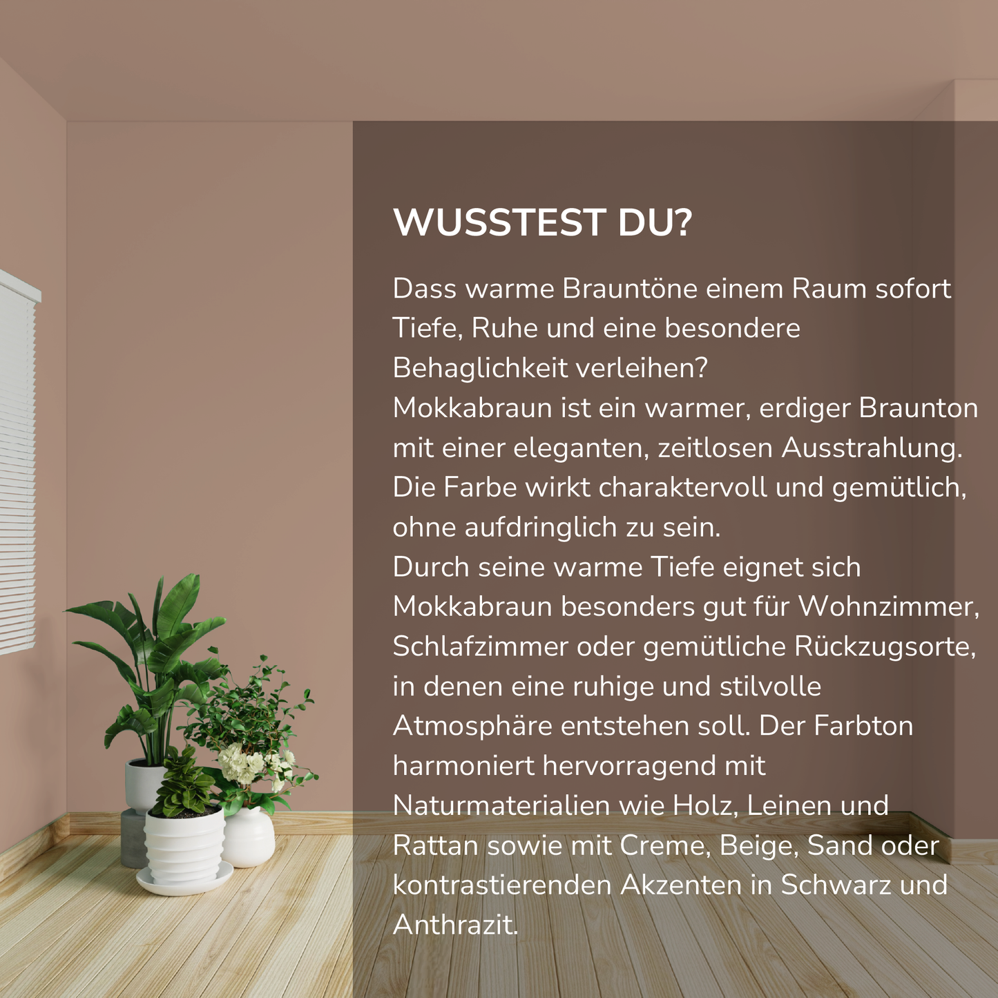 Wandfarbe Profiweiß Mokkabraun