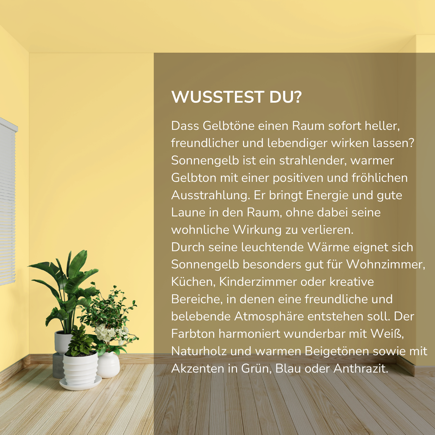 Wandfarbe Profiweiß Gelb Sonnengelb