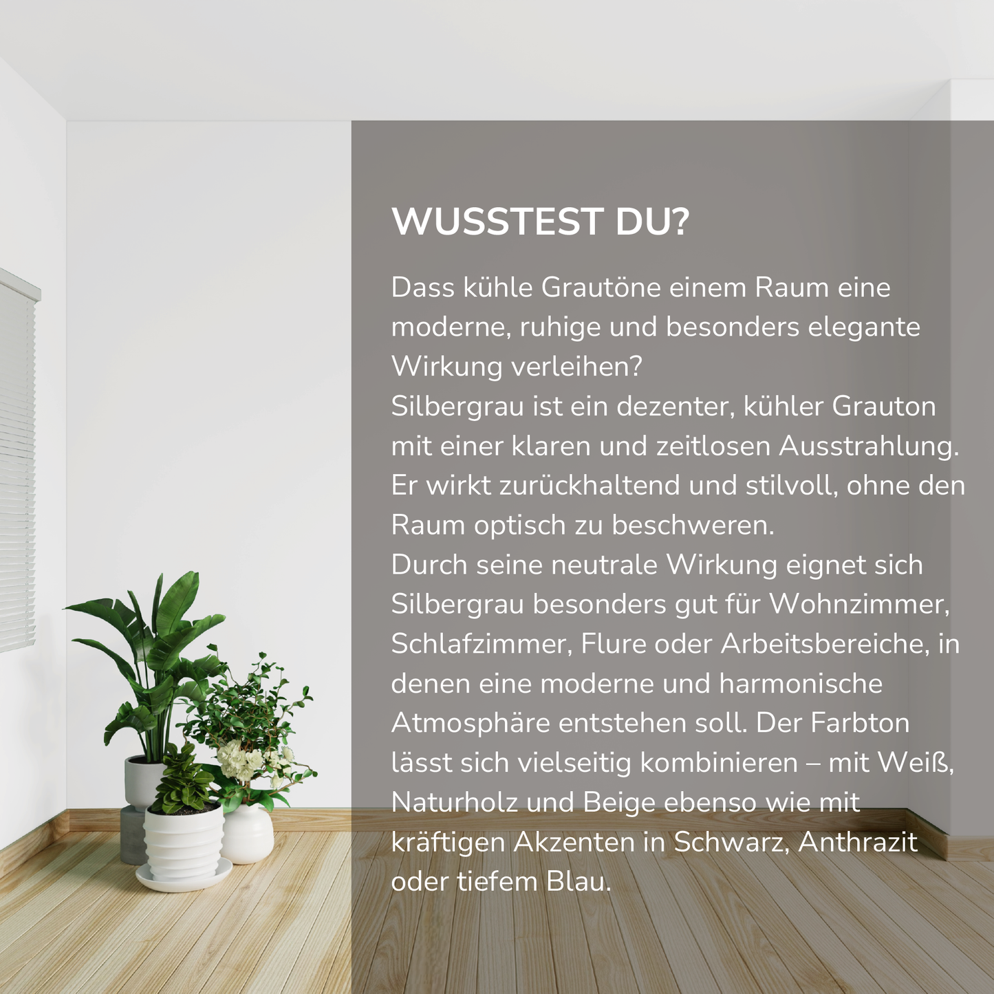 Wandfarbe Profiweiß Silbergrau