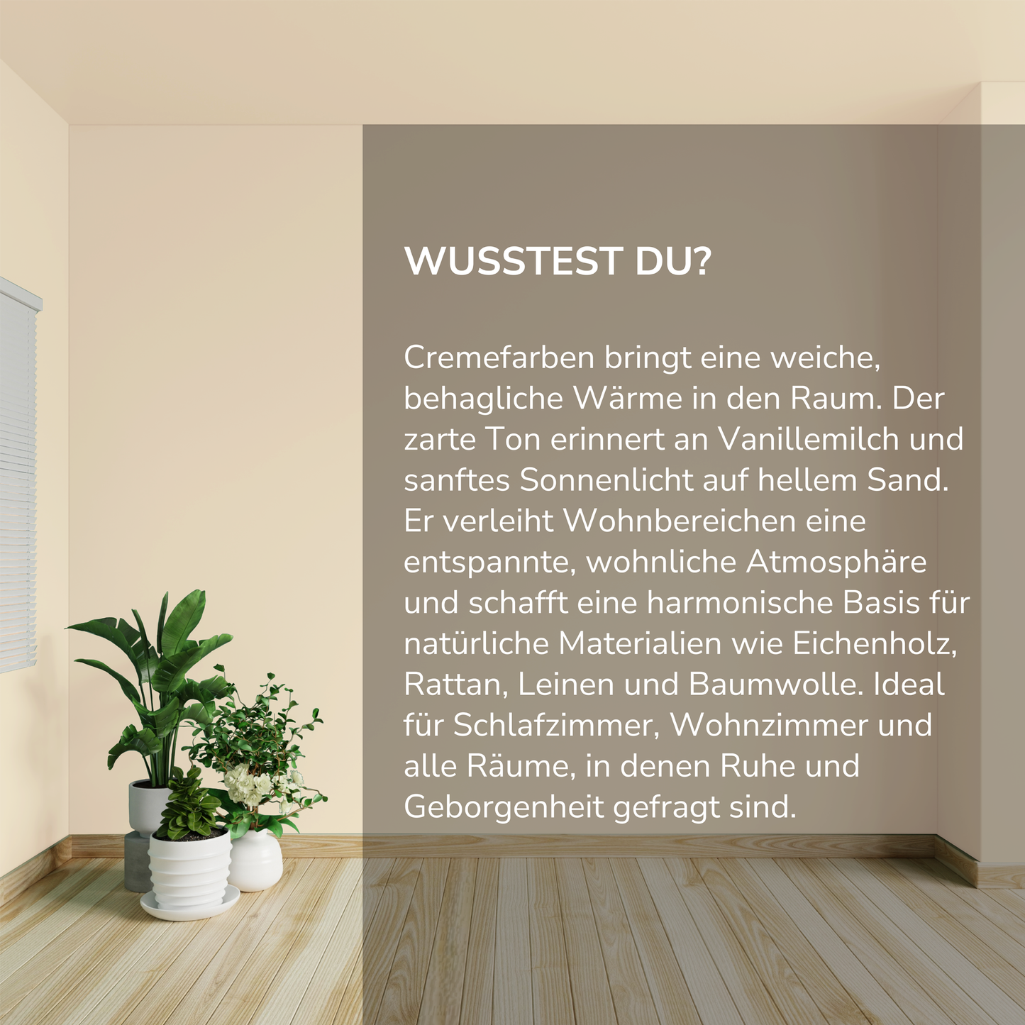 Wandfarbe Profiweiß cream
