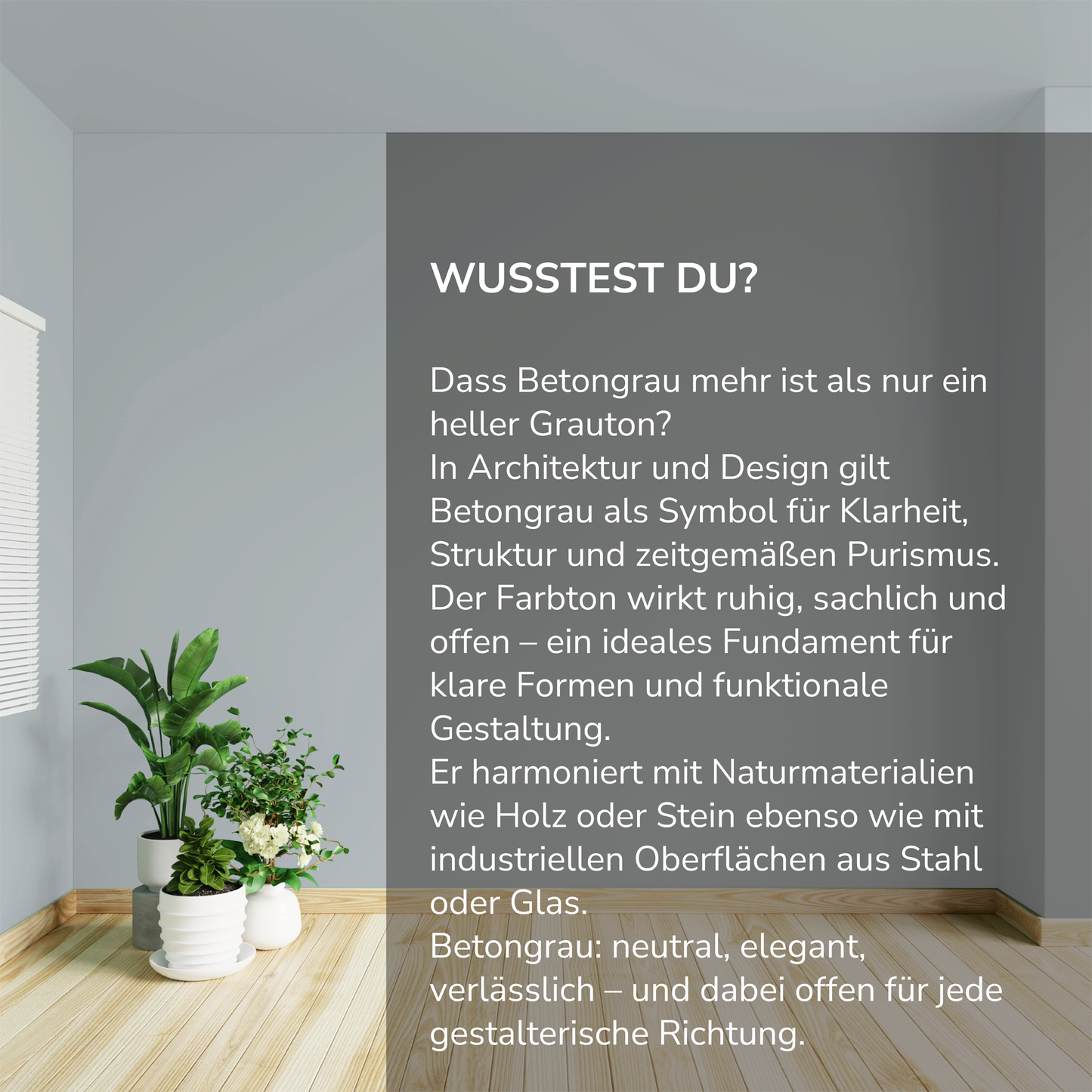 Wandfarbe Profiweiß Grau Conrete-grey Betongrau