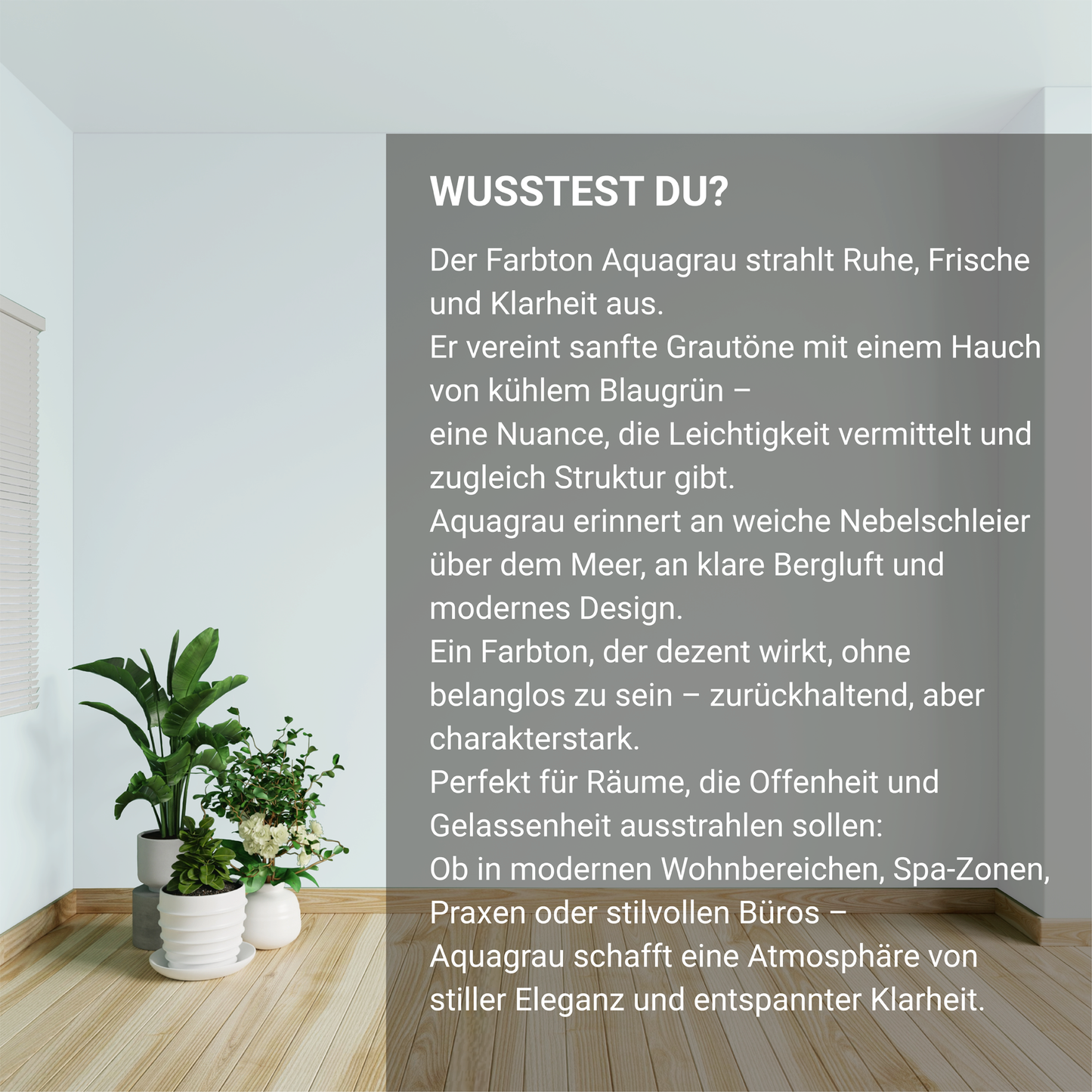 Wandfarbe Profiweiß Grau Aqua-grey Aquagrau