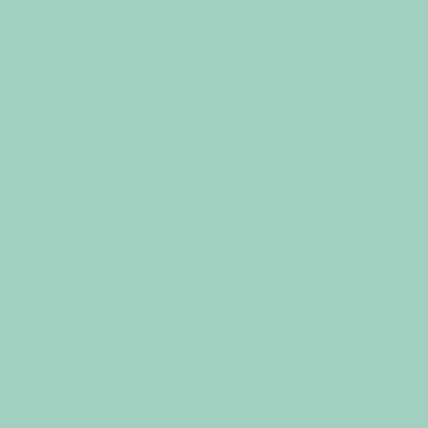 Wandfarbe Profiweiß Grün Mint-green Minzgrün