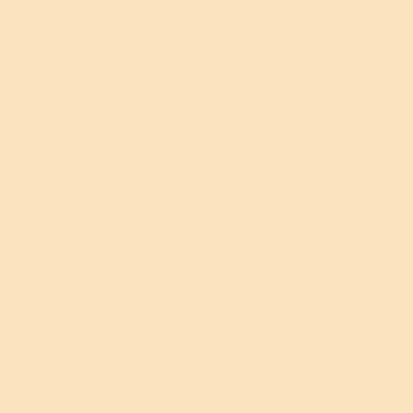 Preismaxx Latexfarbe matt Wandfarbe beige, biscuitbeige