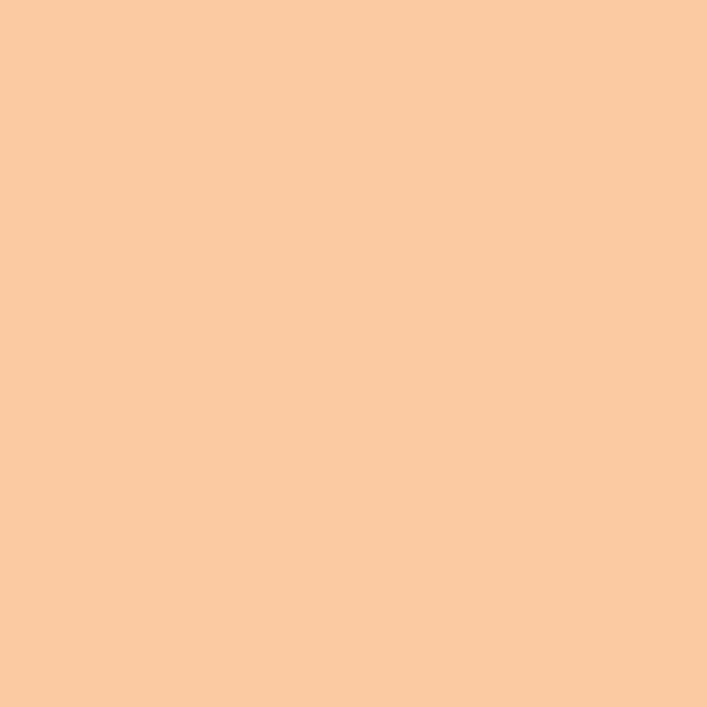 Preismaxx Latexfarbe matt Wandfarbe orange, pastellorange