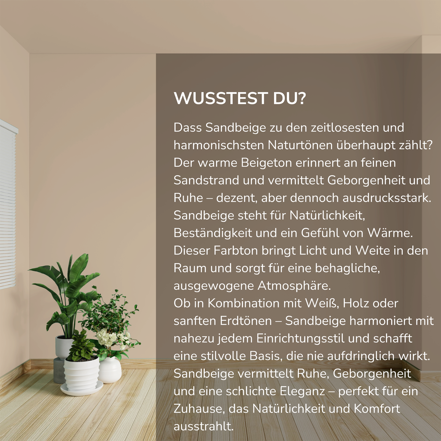 Wandfarbe Profiweiß Sandbeige