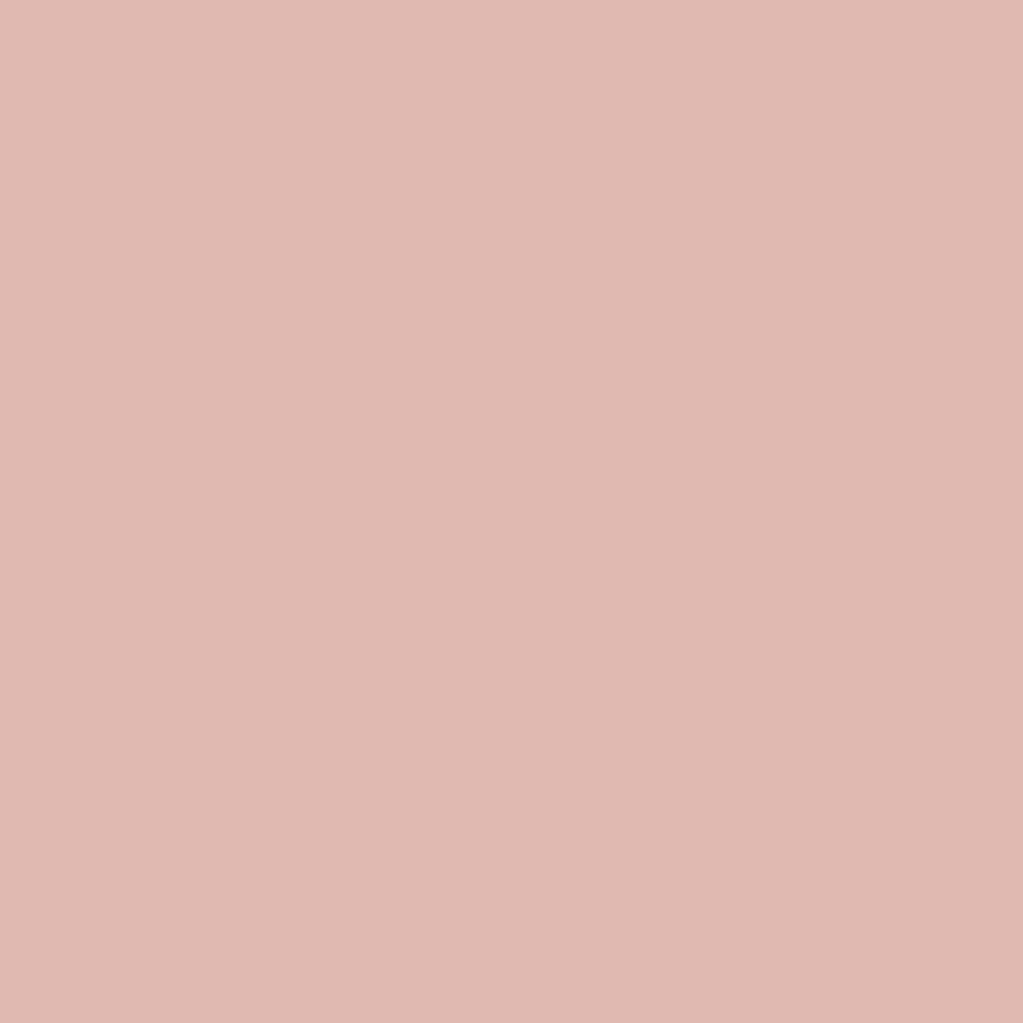 Preismaxx Latexfarbe matt Wandfarbe rosa, rosabraun