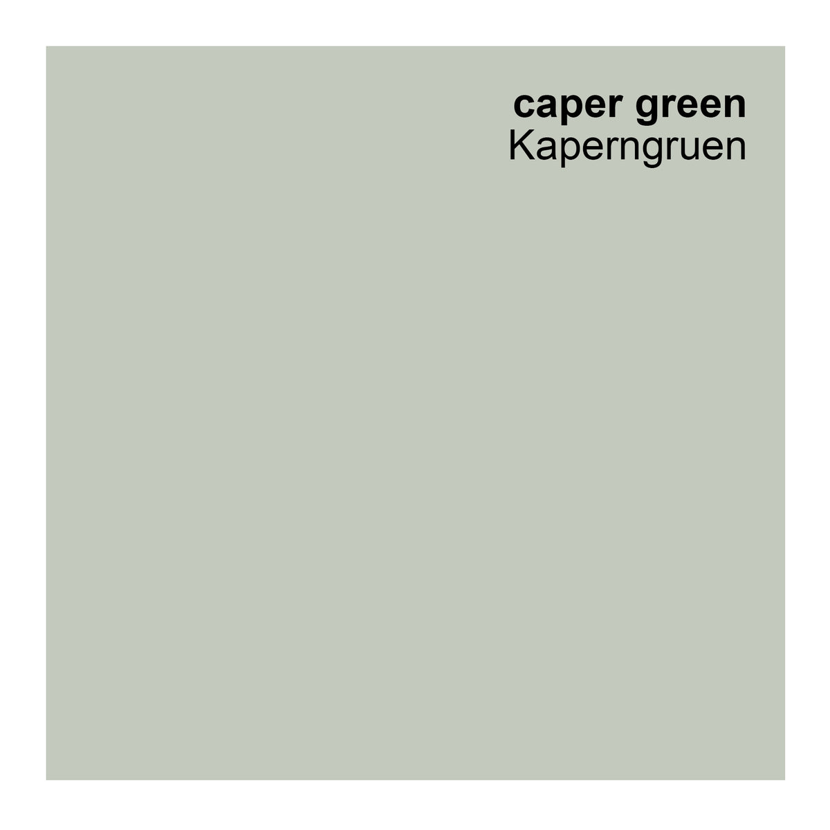 Color Capers Profi Fassadenfarbe grün, kaperngrün, caper green 10L – Preismaxx