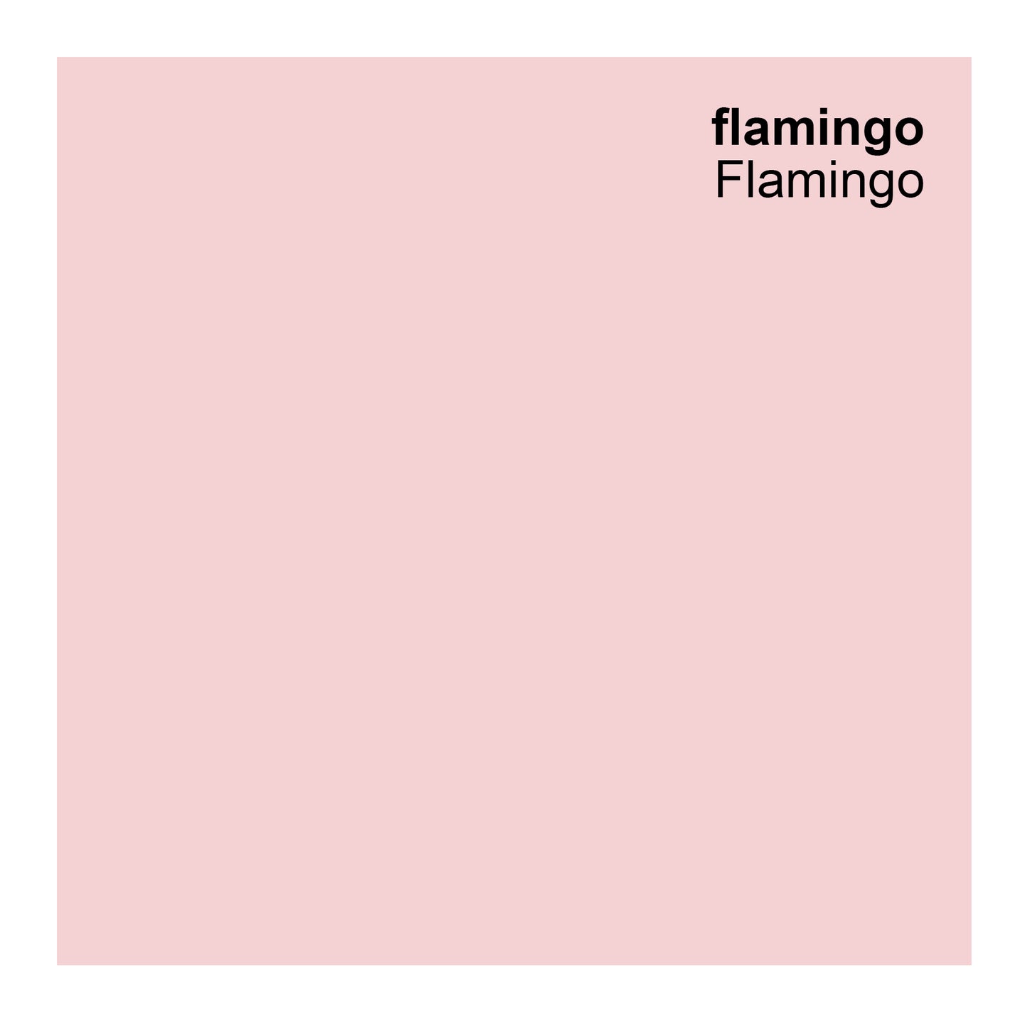 Wandfarbe Profiweiß Pink flamingo Flamingo