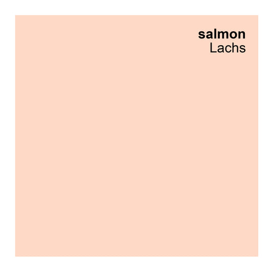 Wandfarbe Profiweiß salmon Lachs